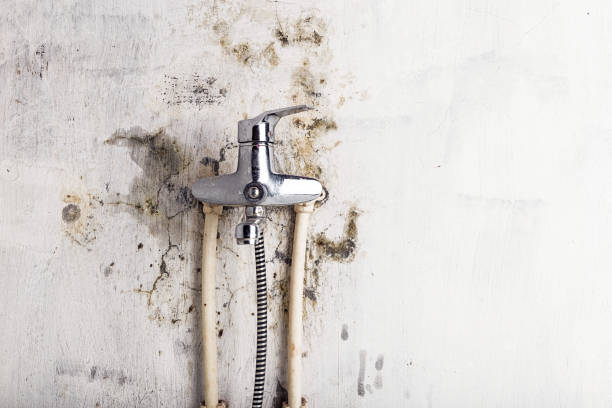 Best Emergency Mold Removal  in Huntington Bay, NY