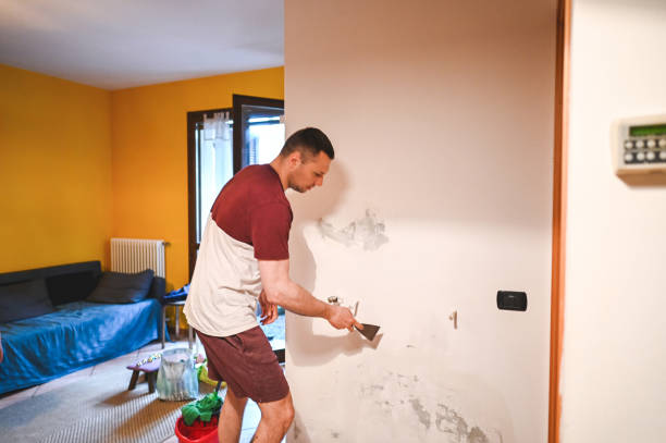 Best Mold Removal and Inspection  in Huntington Bay, NY